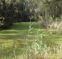 Second Ponds Creek walk - C Tourism