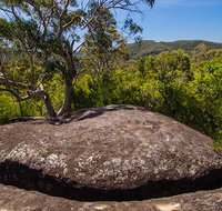 Marramarra Ridge to Smugglers Ridge walking track - C Tourism