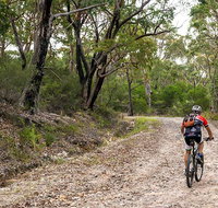 Cawleys Road trail - C Tourism