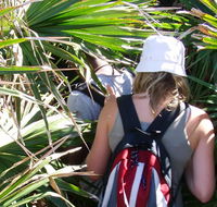 Palm Jungle loop track - C Tourism