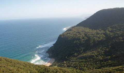 Palm Jungle Loop Track - C Tourism 1