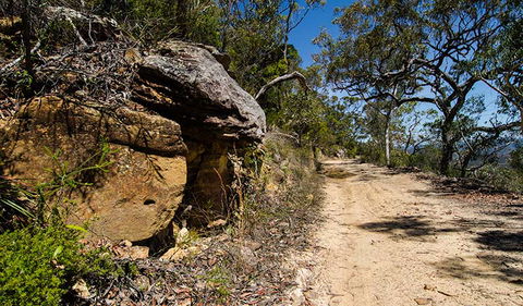 Canoelands Ridge Walking Track - C Tourism 0