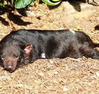 Symbio Wildlife Park - C Tourism