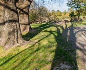Bald Hill Lookout - C Tourism 4