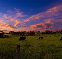 Made in Macarthur Food and Wine Tours - C Tourism