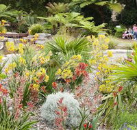 The Australian Botanic Garden Mount Annan - C Tourism
