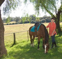 Sugarloaf Horse Centre - C Tourism