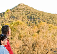 Piles Creek loop - C Tourism