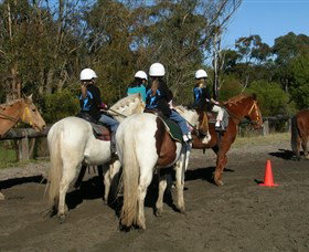 Darkes Forest NSW C Tourism