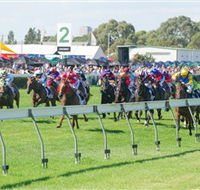 Morphettville Racecourse - C Tourism