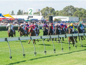 Morphettville Racecourse - C Tourism 0
