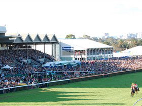 Morphettville Racecourse - C Tourism 1