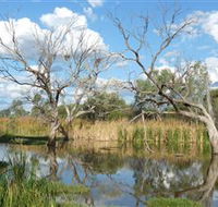Lagoon Creek - C Tourism