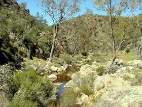 Saunders Gorge Sanctuary - C Tourism 1