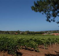 Grancari - C Tourism