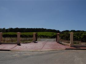 Grancari - C Tourism 1