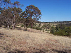 Onkaparinga River National Park - C Tourism 0
