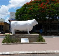Aramac - The White Bull - C Tourism