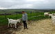 Kangarilla Creamery - thumb 2