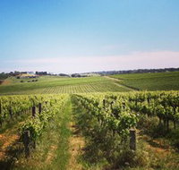 Adelaide Winemakers - C Tourism