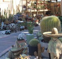 Cactus Creations - C Tourism