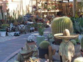Cactus Creations - C Tourism 0