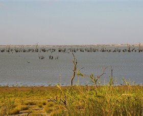 Lake Victoria - C Tourism 0