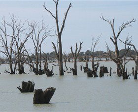 Lake Victoria - C Tourism 4