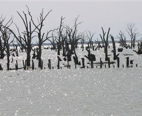 Lake Victoria - C Tourism 5