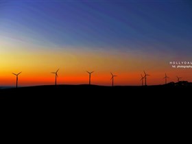 Starfish Hill Windfarm - C Tourism 0