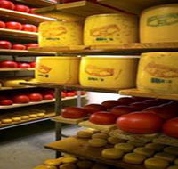 Alexandrina Cheese Company - C Tourism