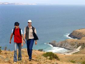 Delamere SA C Tourism