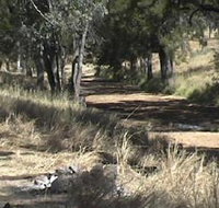 Chudleigh Park Gem Fields - C Tourism