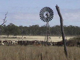 Chudleigh Park Gem Fields - C Tourism 1