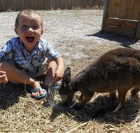Animal Farm Goolwa - C Tourism