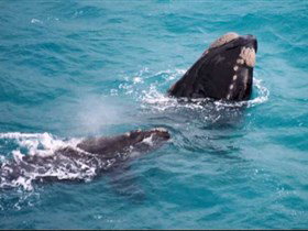 Tourist Drive Route 50 - C Tourism 1