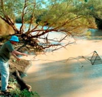Charleville - Ward River Fishing Spot - C Tourism