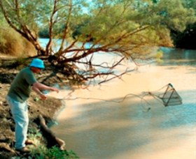 Charleville - Ward River Fishing Spot - C Tourism 0