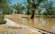 Charleville - Ward River Fishing Spot - thumb 2