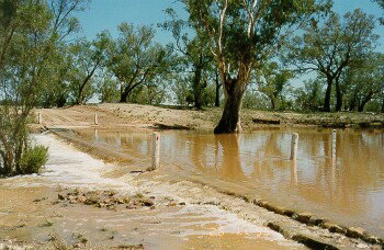 Charleville - Ward River Fishing Spot - C Tourism 2