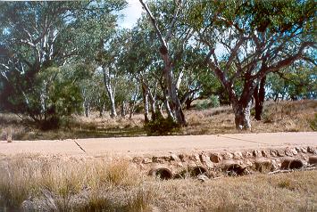 Charleville - Ward River Fishing Spot - C Tourism 1