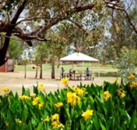 Charleville - Graham Andrews Parklands - C Tourism
