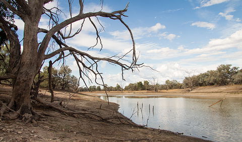 Toorale National Park - C Tourism 0