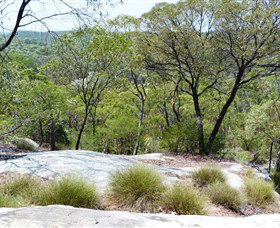 White Mountains National Park - C Tourism 0