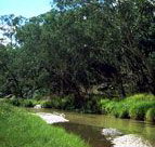 Salvator Rosa Section - Carnarvon National Park - C Tourism