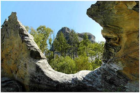 Salvator Rosa Section - Carnarvon National Park - C Tourism 1