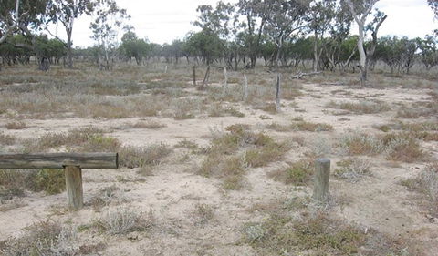 Culgoa Connellys Track - C Tourism 0