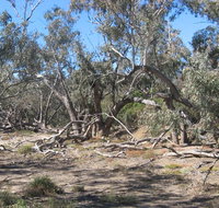 Mirri Mirru Yurun - C Tourism