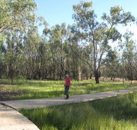 Ben Scott Memorial Bird Trail - C Tourism