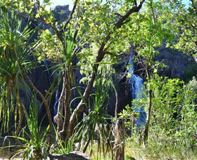 Manngarre Rainforest Walk - C Tourism 1